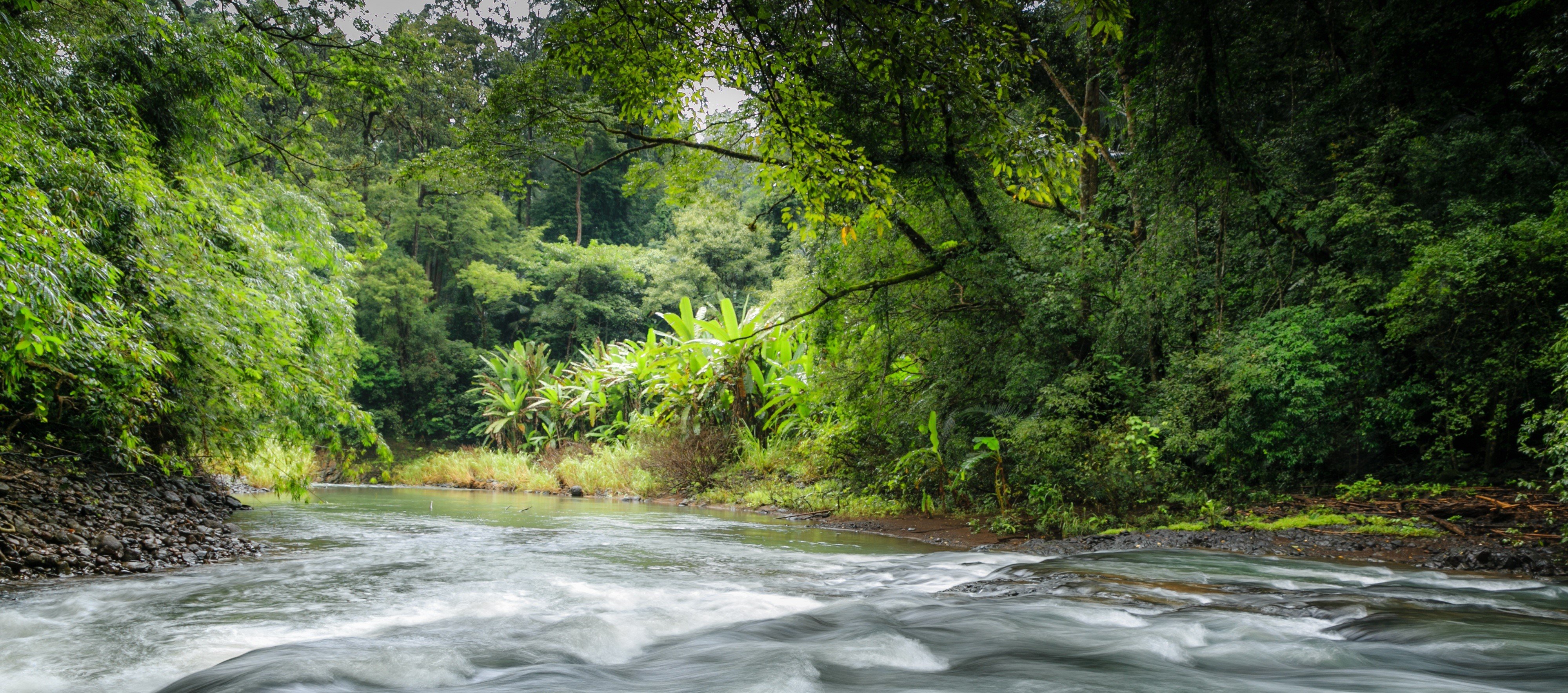 Reduce servers to gain smaller carbon footprint